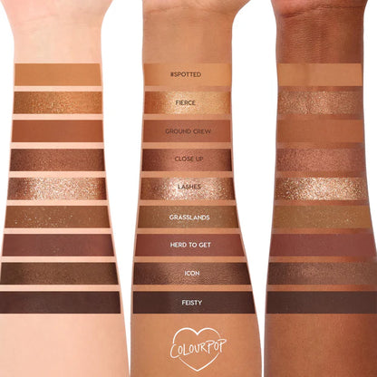 swatch image of 100% original ColourPop deep natural eyeshadow palette for her available at Heygirl.pk for delivery in Pakistan.