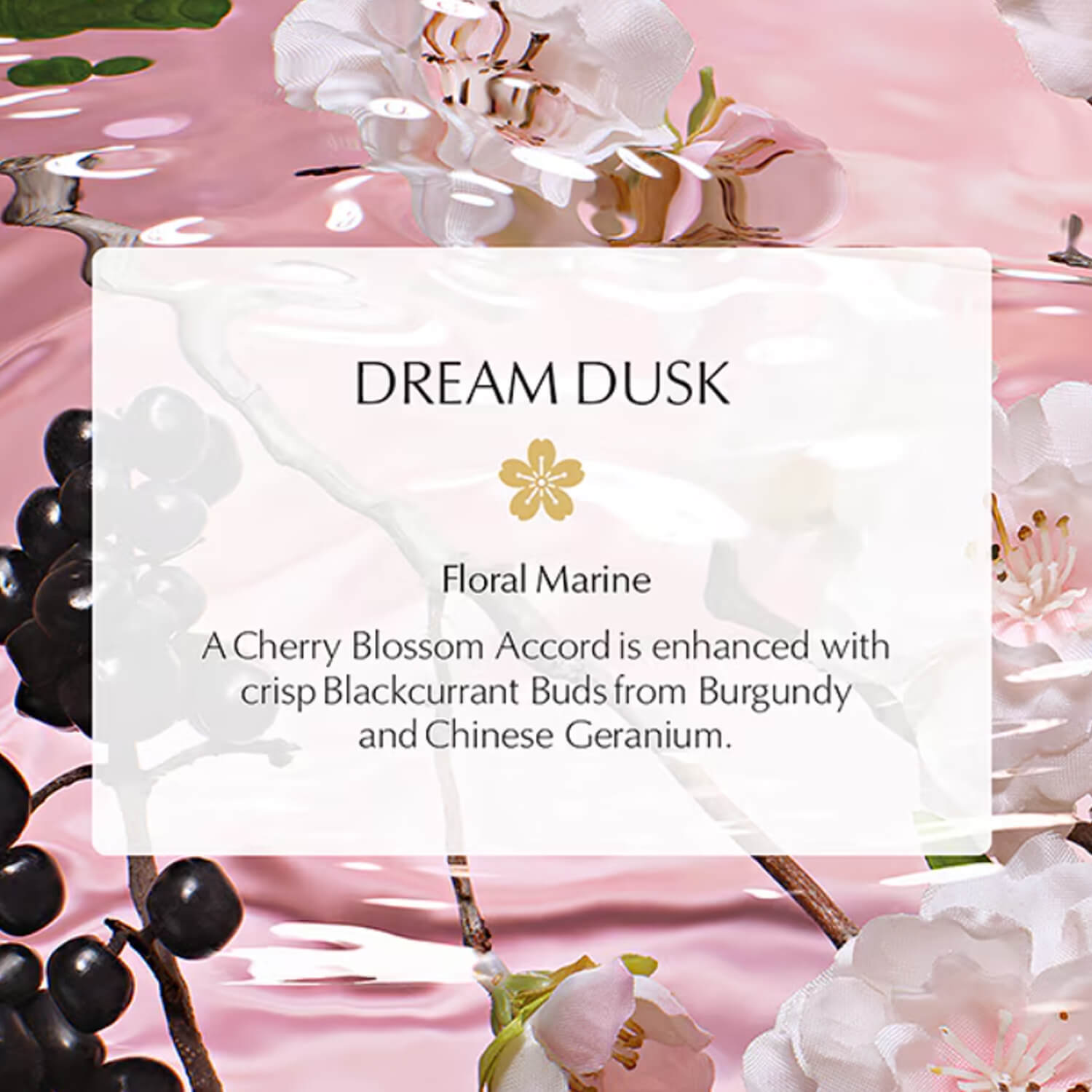 image showing fragrance of Estee Lauder Eau de Parfum Dream Dusk for her available at Heygirl.pk for cash on delivery in Pakistan