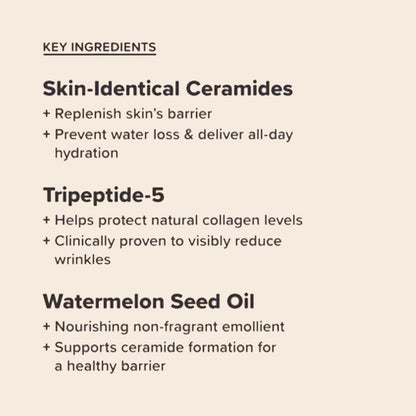 image showing ingredients of Paula's Choice 2% advanced repairing moisturizer that strengthens, smooths and  improves skin’s delicate barrier in 30 minutes in Pakistan